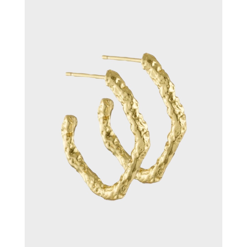 Foil øreringe - Guld