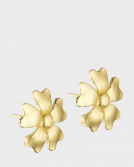PoppyPostreringeGuld-20