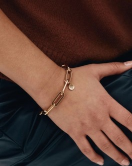 BoxchainmaxibraceletGold-20