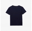 Boys' Crew Neck Cotton Jersey T-shirt - navy