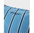 Striped Twill Pillow Cover - Blue