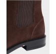 Corporate Dressy Suede Chelsea - Cocoa